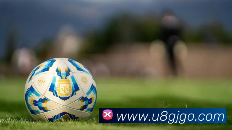 U8国际发展历程